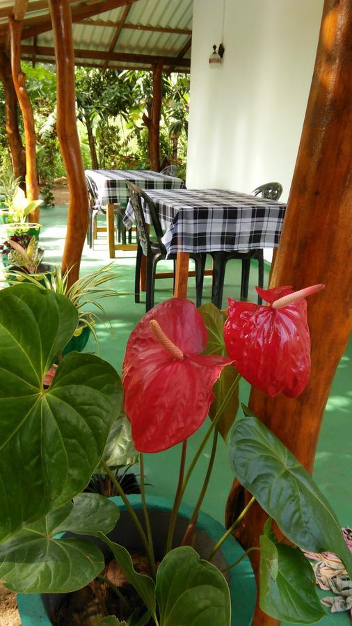 Amaya River Side Homestay Sigiriya Exterior photo